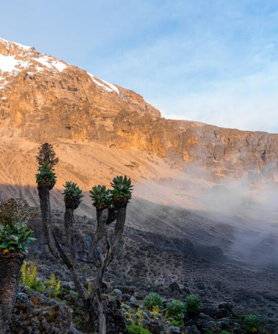 7-Day Kilimanjaro Trekking – Lemosho Route